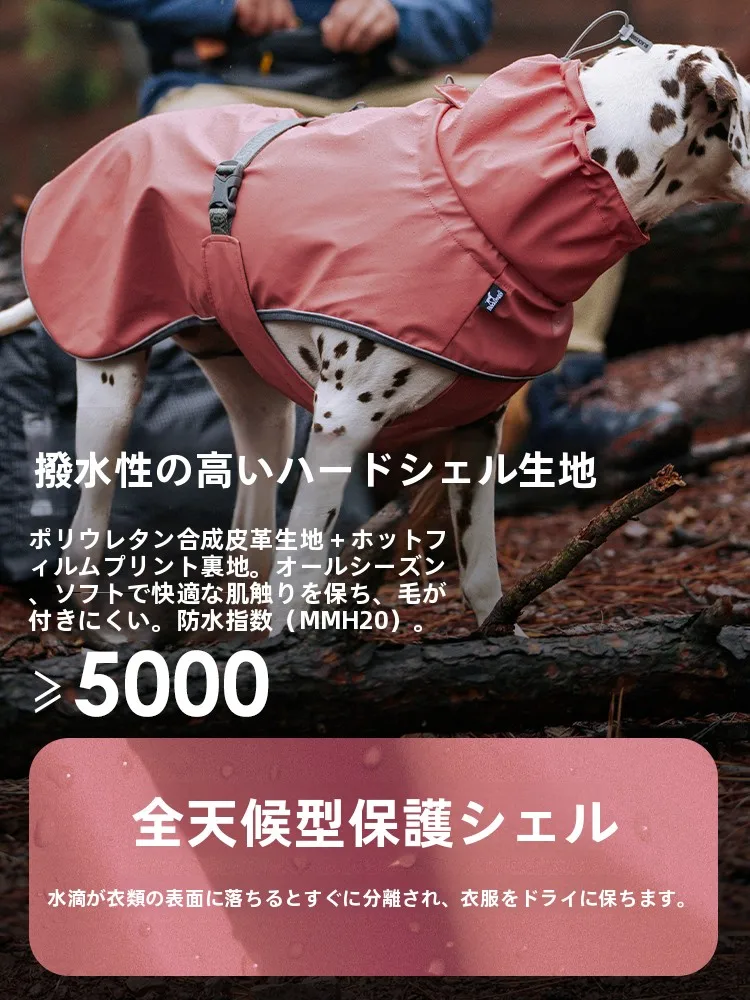 犬のお散歩グッズをコスパ良く揃える方法｜バルーンデザインレインコートの実用性徹底解説