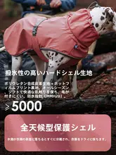 中型大型犬用の防水ペットレインコート【バルーンデザイン・屋外用・フード付き】