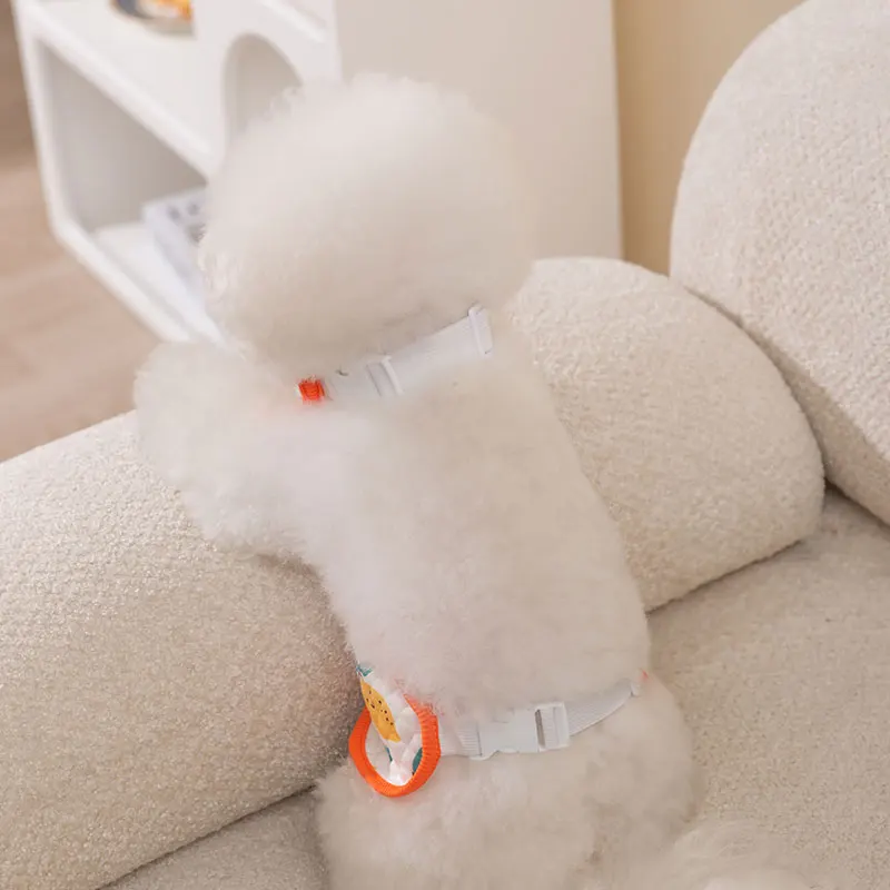 犬用夏服【薄手・お腹保護・室内・小型犬用】：夏季室内使用场景下的实用性能解析