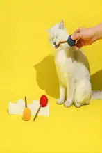 ZEZE 猫用天蓼入りおもちゃスティック【耐噛性・遊び用】