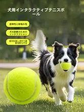 耐噛み性ゴム製犬用おもちゃボール【ペットトレーニング・お散歩用・中型犬・小型犬対応】