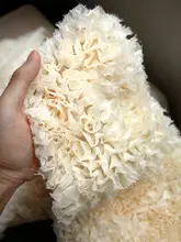 米色の立体テクスチャー生地【装飾デザイン用・オリジナル布】
