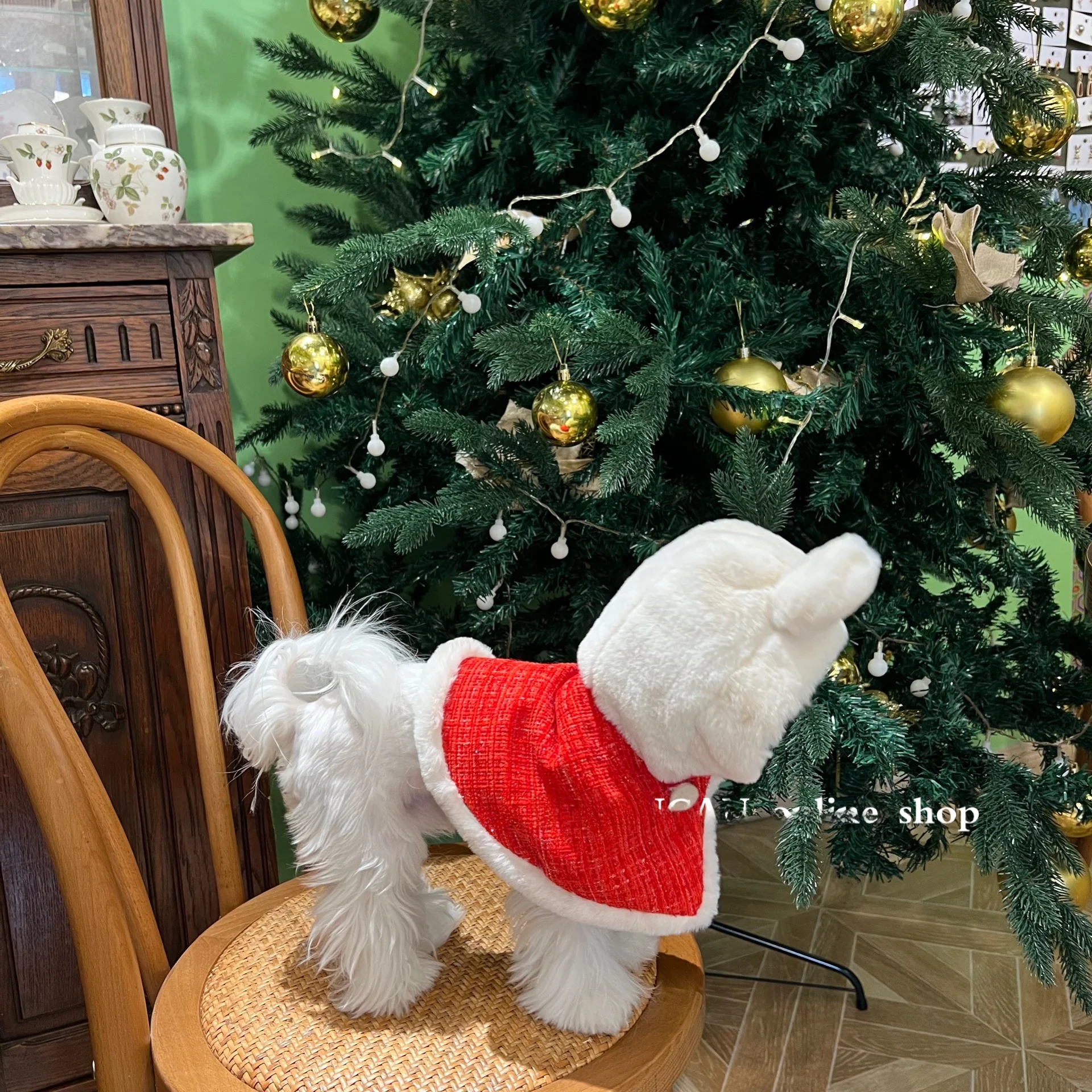 ペット用保暖ケープ：赤色フード付きで猫や犬に最適なあったかグッズ