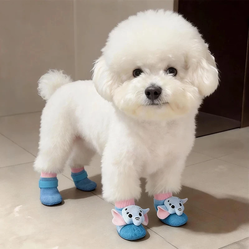 小さな犬が夏を快適に過ごせる、通気性と見た目を兼ね備えたシューズは？