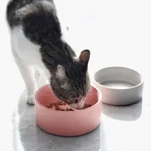 猫用陶器製フードボウル【大口径・加菲猫デザイン・犬猫兼用】