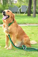 大型犬用伸縮式犬用首輪とリード【コーギー・迷子防止・安全設計】