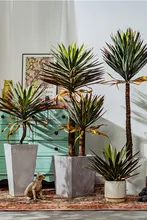 大型リアルな植物 アガベ ドラセナ 偽樹 リビング 鉢植え 装飾品