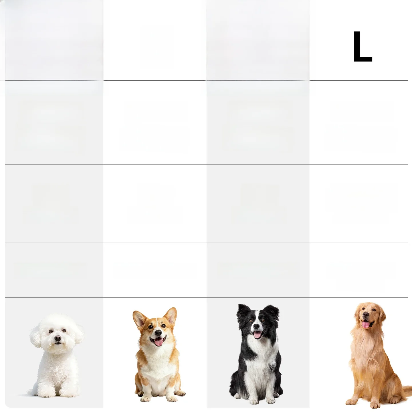 犬のお散歩グッズをコスパ良く揃える方法 - 自動伸縮式リードのサイズ・シリーズ別特徴