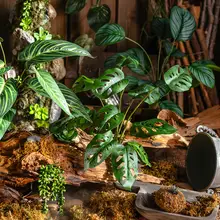 アートフィモンステラ風ミニ観葉植物【卓上装飾用・北欧スタイル】