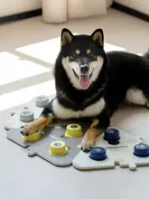 ペット用コミュニケーションボタン【犬や猫のトレーニングに最適・対話型デザイン】