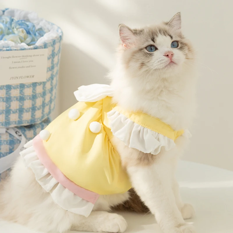 猫飼いが買ってよかったもの・悪かったもの正直に言う｜プリンセスドレスの実測ガイド