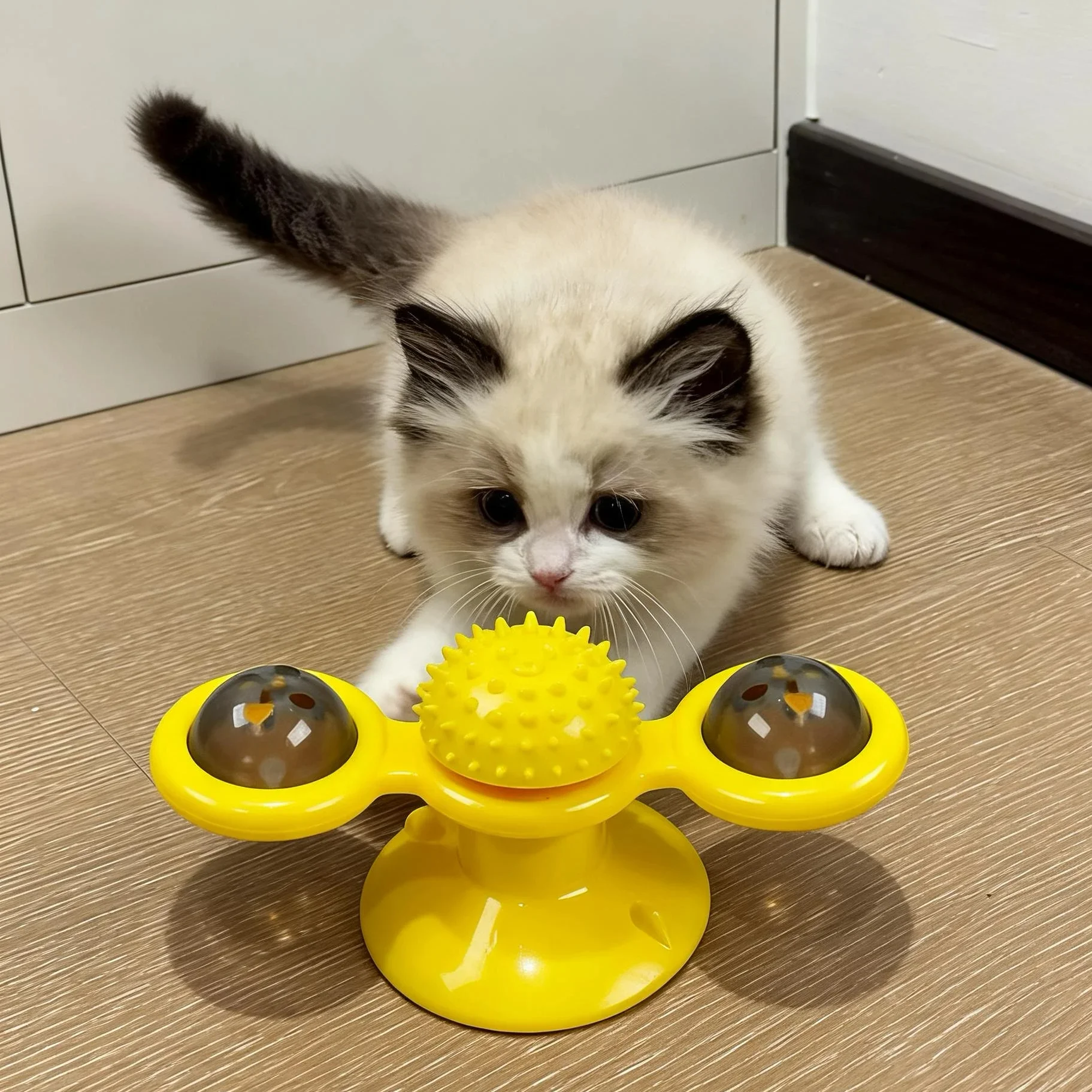 猫用おもちゃ【風車型・解消・歯磨き機能付き】：3歳向け数字おもちゃの代替としての実用性と安全性