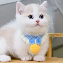 可愛いデザインの手編みペット用スカーフ【無音ベルボール付き・猫・小型犬・うさぎ用】（セットアップ対応）