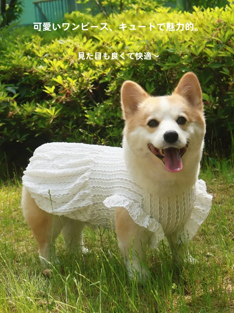 犬用メッシュベスト プリンセスデザイン：春夏の户外活動に最適な通気性とデザイン