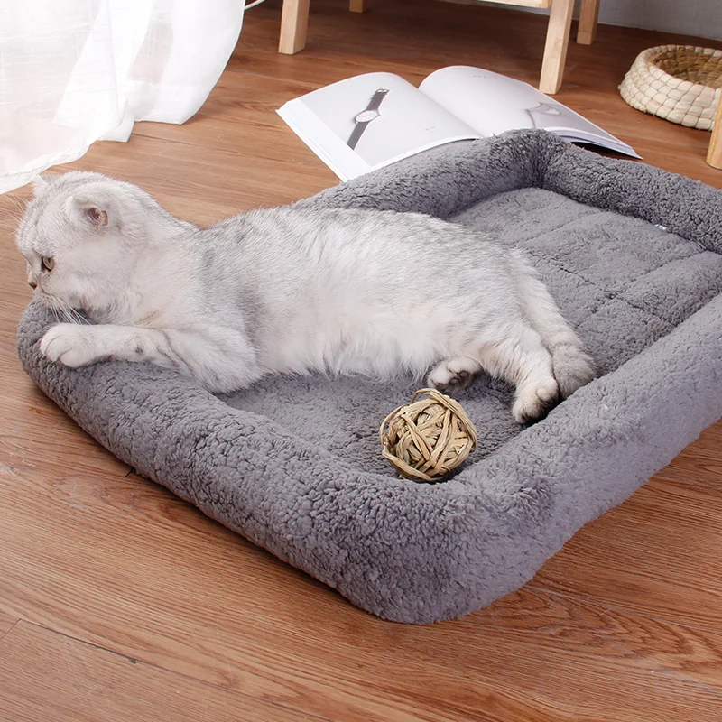 猫飼いが買ってよかったもの・悪かったもの正直に言う｜冬用マットの保温性と耐久性徹底解説
