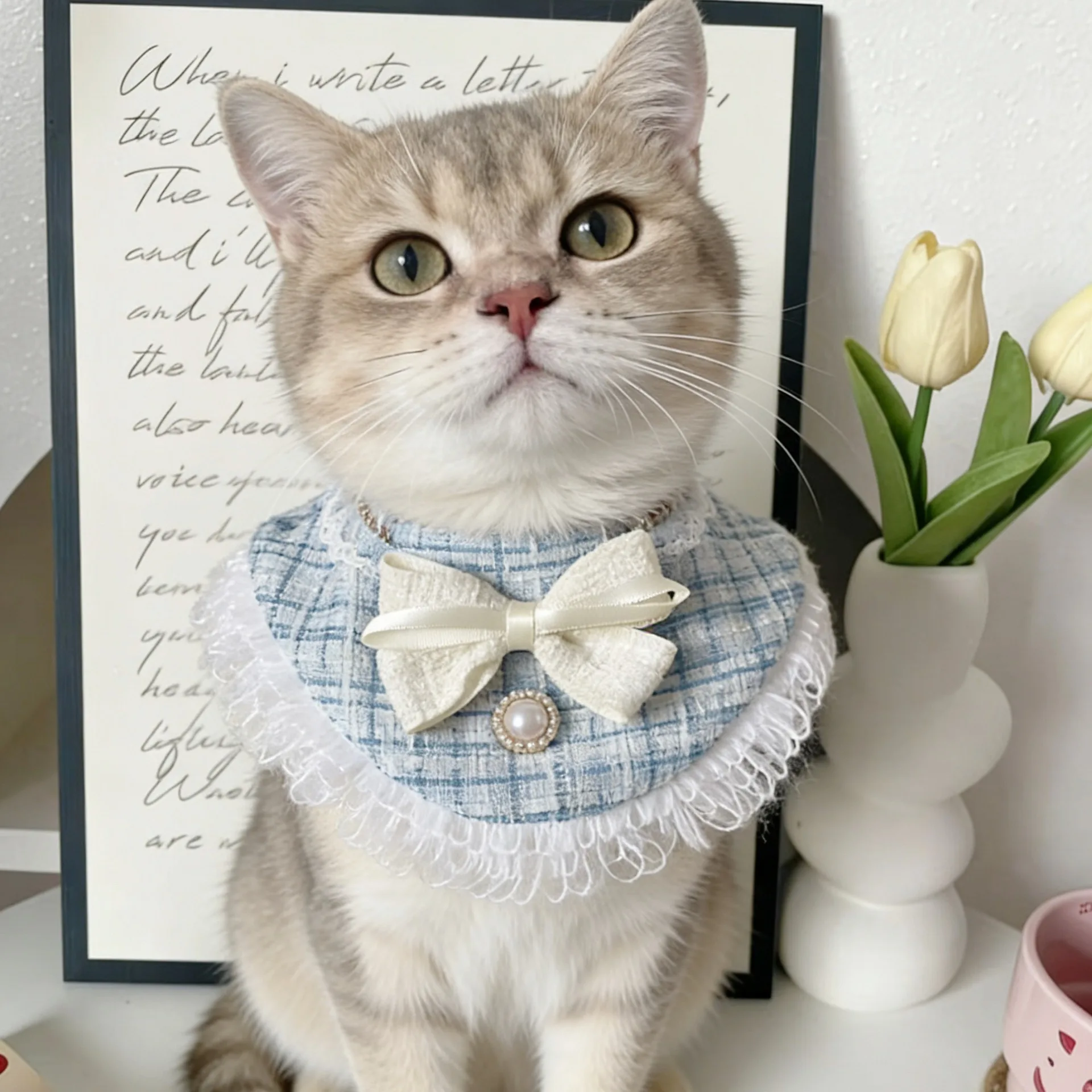 ワンちゃんの服を選ぶときに迷う？可愛いエプロンスタイの選び方と、手作りの魅力を知る