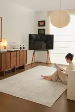 取り外し可能な洗えるラグ【レトロデザイン・高級感・防猫爪】