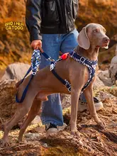 大型犬用の防爆胸部ハーネス【ペット用・脱出防止・背中に取り付け】