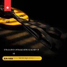 ローラの星 3098 エネルギーケーブル付きトレーニングマシン【ダブルプルダウン・上半身・筋力トレーニング】