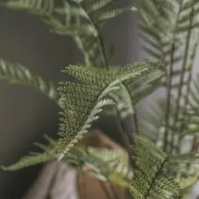 グリーン 植物 大型 家庭 リビング インドア フロアポット デコレーション