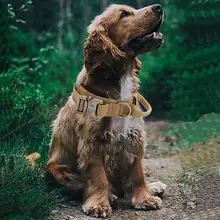 アウトドア用タクティカルドッグカラー【中大型犬用・牽引ロープ付き】
