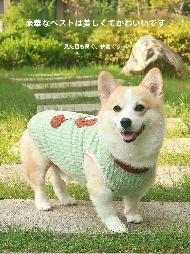 ドッグ コート としての犬用秋冬ベスト：保温性とリード通しの実用性を徹底解説