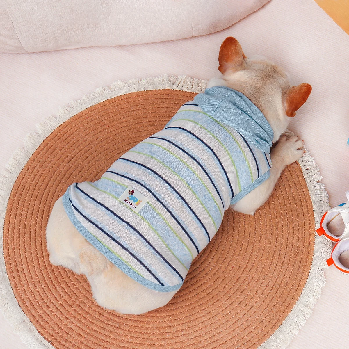 夏用犬服ストライプ軽量透湿性虫除け対応の実用性と使用シ ーン