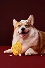 ペット用 掃除袋収納ポーチ【お散歩用・犬用・クリーニングトークン付き】