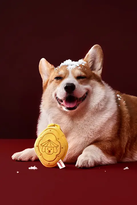 ペット用 掃除袋収納ポーチ【お散歩用・犬用・クリーニングトークン付き】