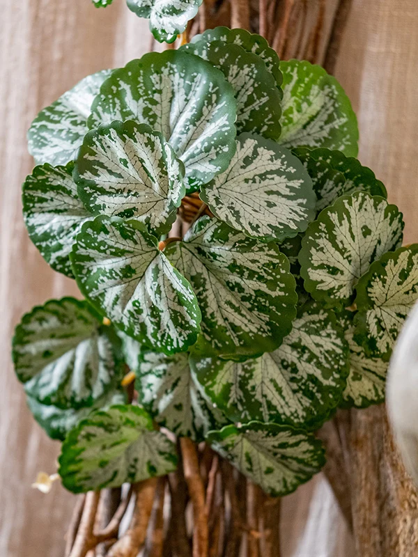 ハエトリグサの花の特徴：北欧風に合う擬似植物アレンジメントの実際