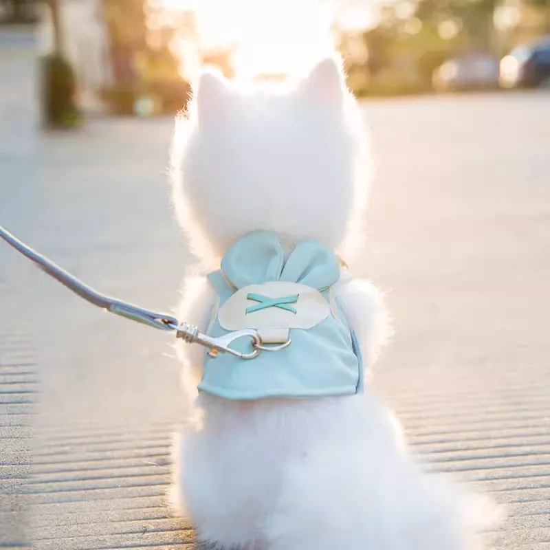 ハーネスで引っ張りを防ぐには？メッシュ通気性タイプが中小型犬に最適な理由