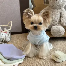 秋冬用 犬用温かい背心【極上の柔らかさ・小型犬向け】