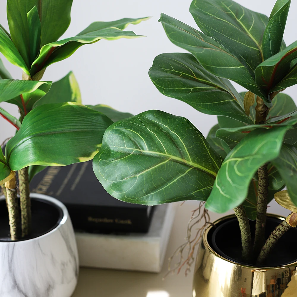 可愛い観葉植物ミニを選ぶときに迷わない方法は？