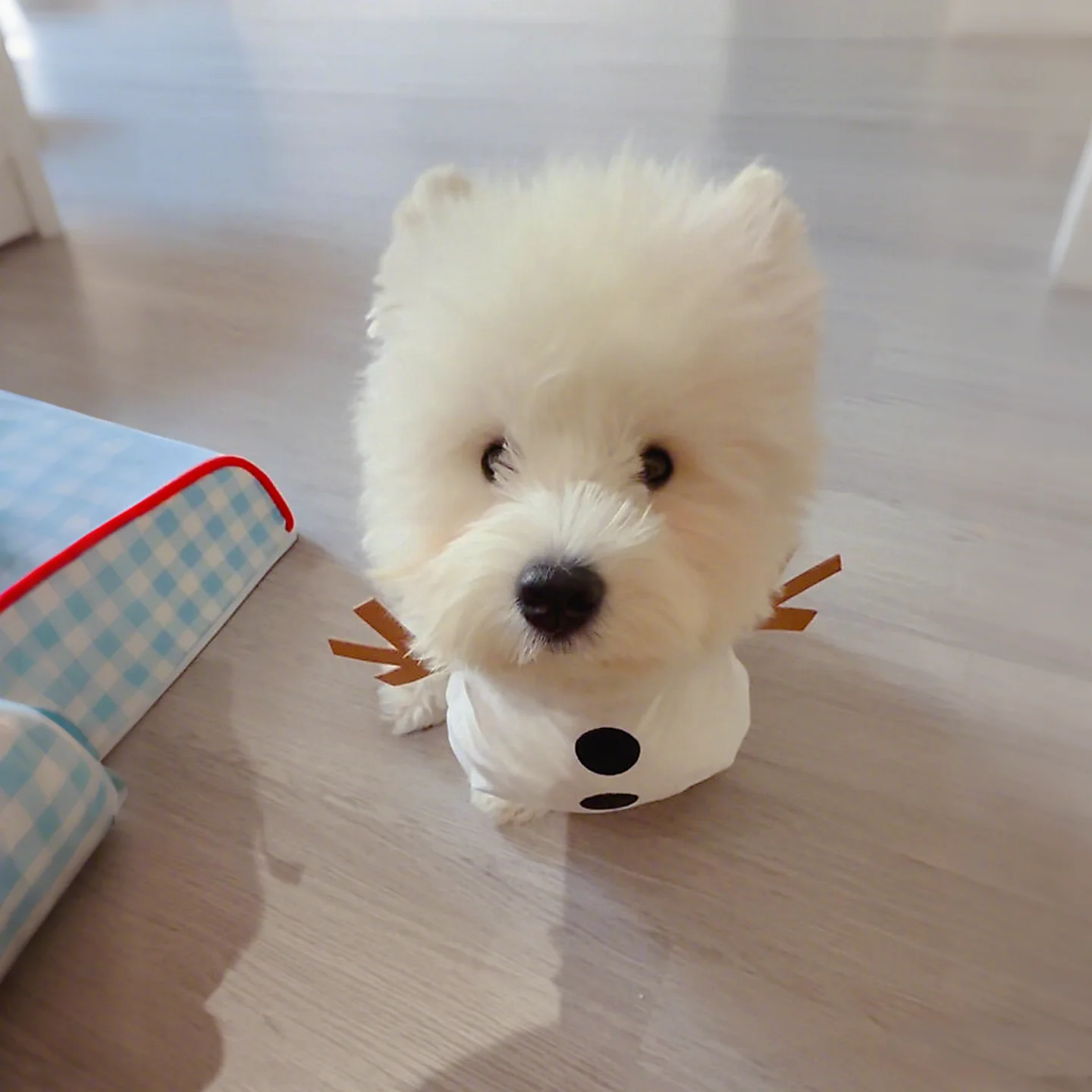 冬用ペット用雪人デザインウェア：クリスマスに犬をプレゼントする際の最適なグッズ
