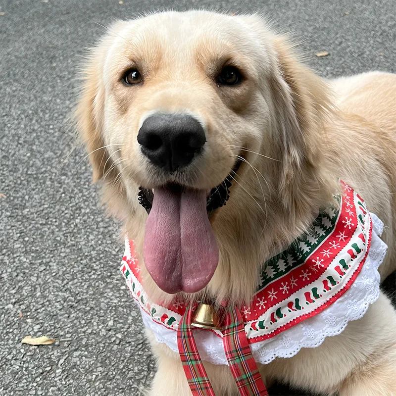クリスマス用 犬用スカーフ 鈴飾り付きで冬の寒さを軽減