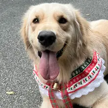 クリスマス用 犬用スカーフ【中型・大型犬用・鈴飾り付き】