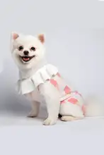 可愛らしいデザインのペット用ニットセーター【犬用・毛が抜けにくい・プリンセス風】（セットアップ対応）
