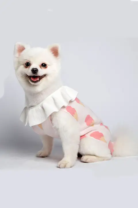 可愛らしいデザインのペット用ニットセーター【犬用・毛が抜けにくい・プリンセス風】（セットアップ対応）