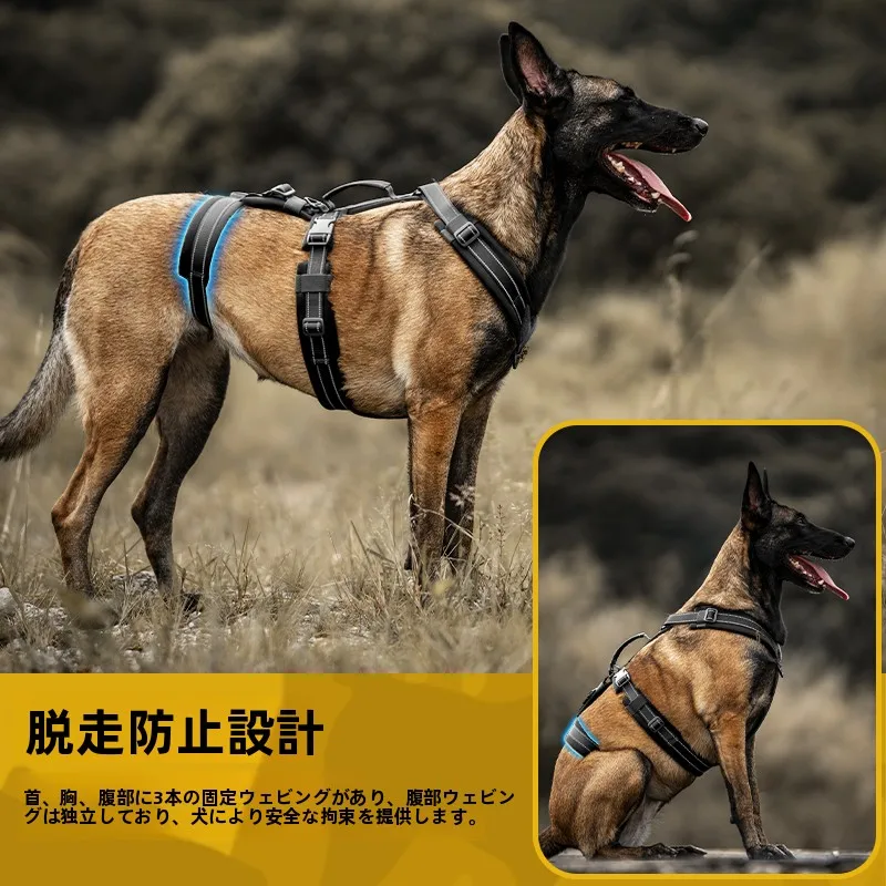 犬のお散歩グッズをコスパ良く揃える方法｜反射材付きハーネスで安全と実用を両立