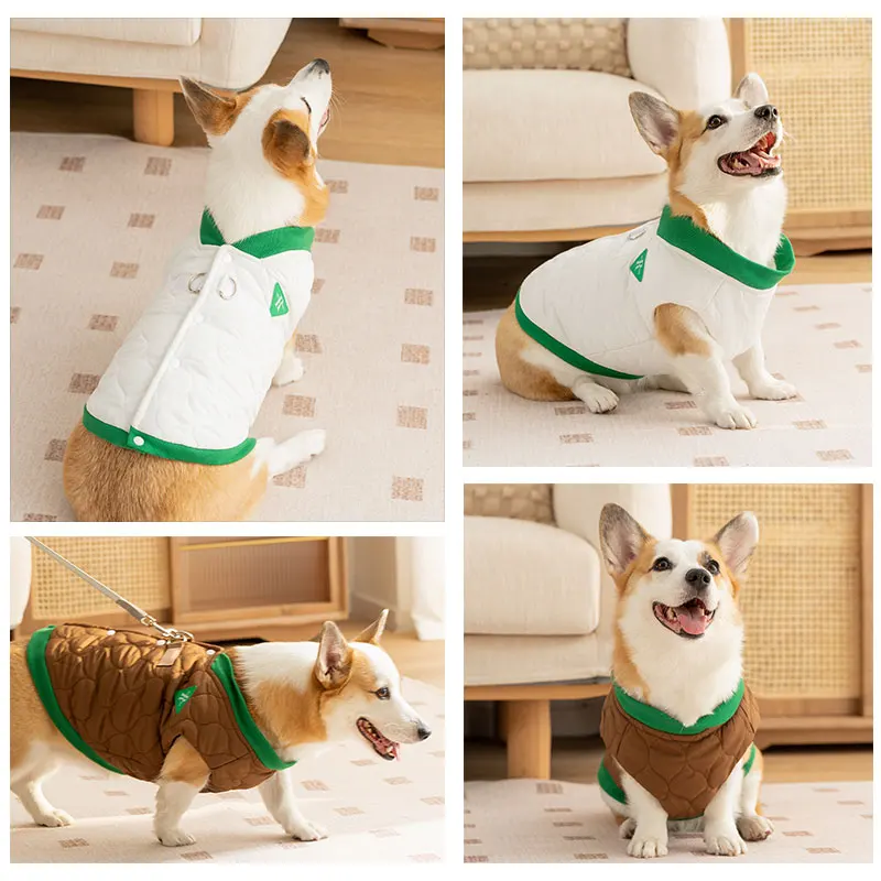 寒さに弱い犬に着せたら、なぜこのコットンウェアが救いになるのか？