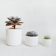 鉢 多肉植物 モダン シンプル 陶器 白 円柱形 創造的 ミニチュア
