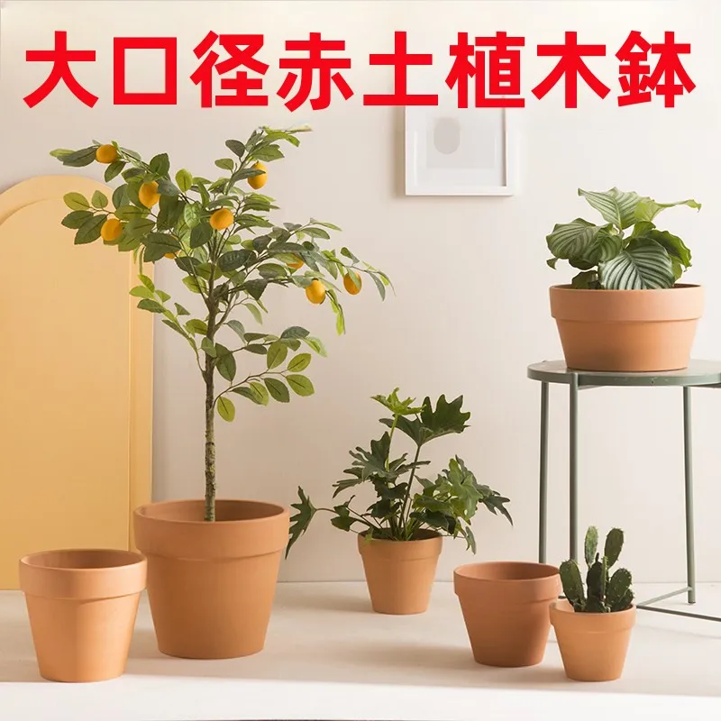 大口径の赤陶土多肉植物用鉢 ミニマリスト部屋づくりに最適