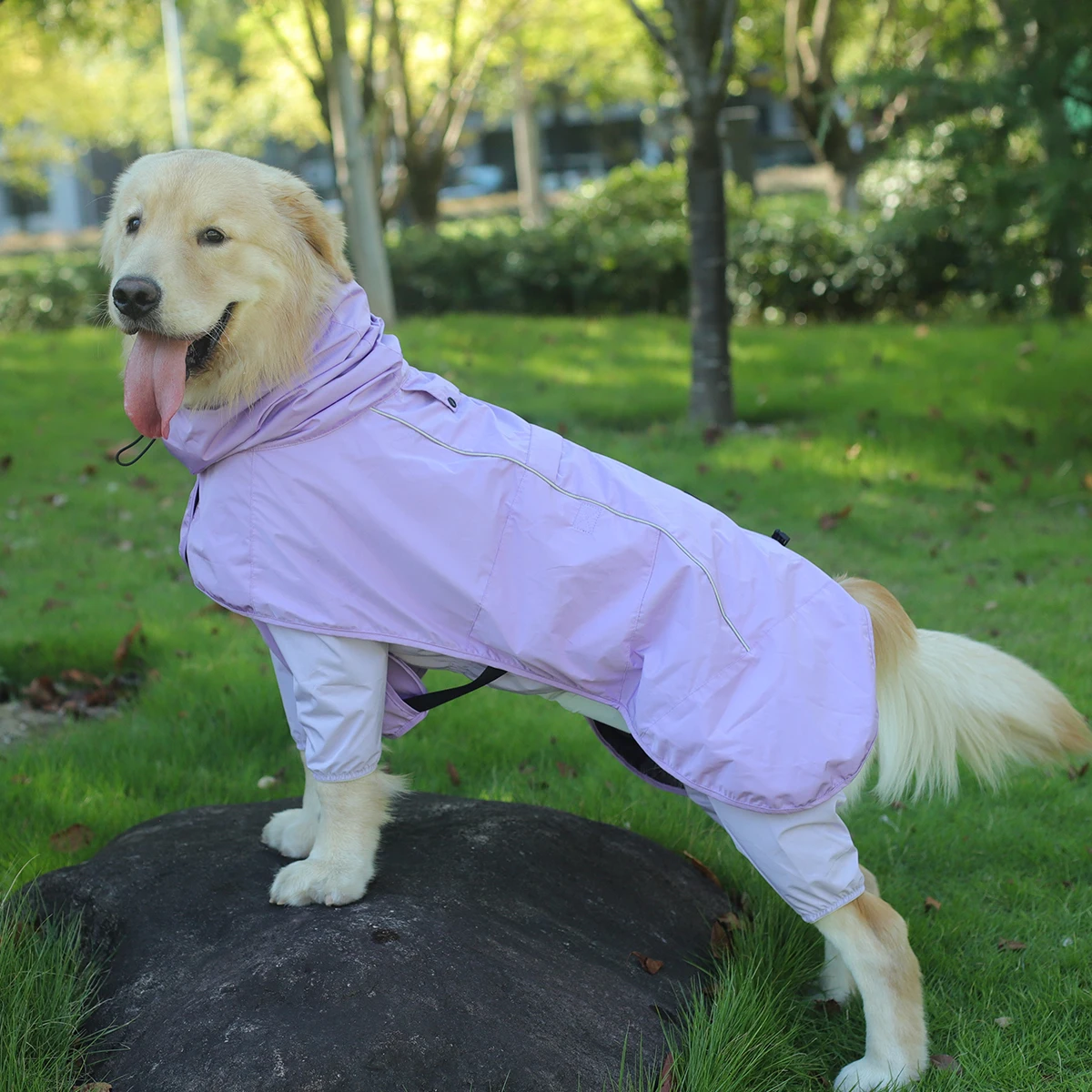 犬のお散歩グッズをコスパ良く揃える方法 - 分割型レインコートのサイズ・素材・使用シーン