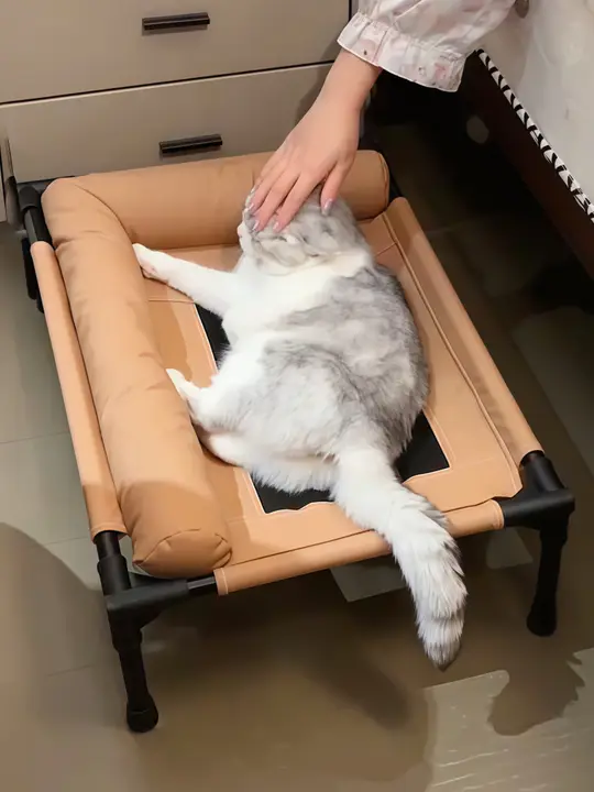 犬用 通気性抜群のリフト式ベッド【洗濯可能・梅雨対策・全シーズン対応】