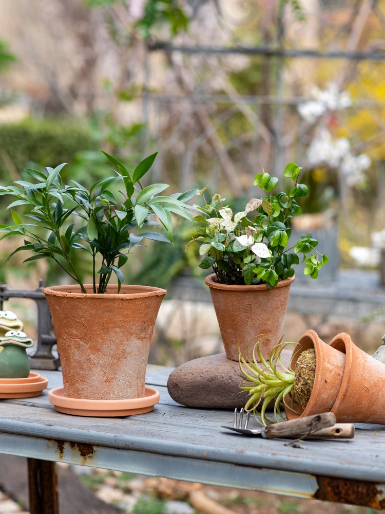 ベランダに置く植木鉢を選ぶときに迷うなら、この1つ  のポイントで解決できる？