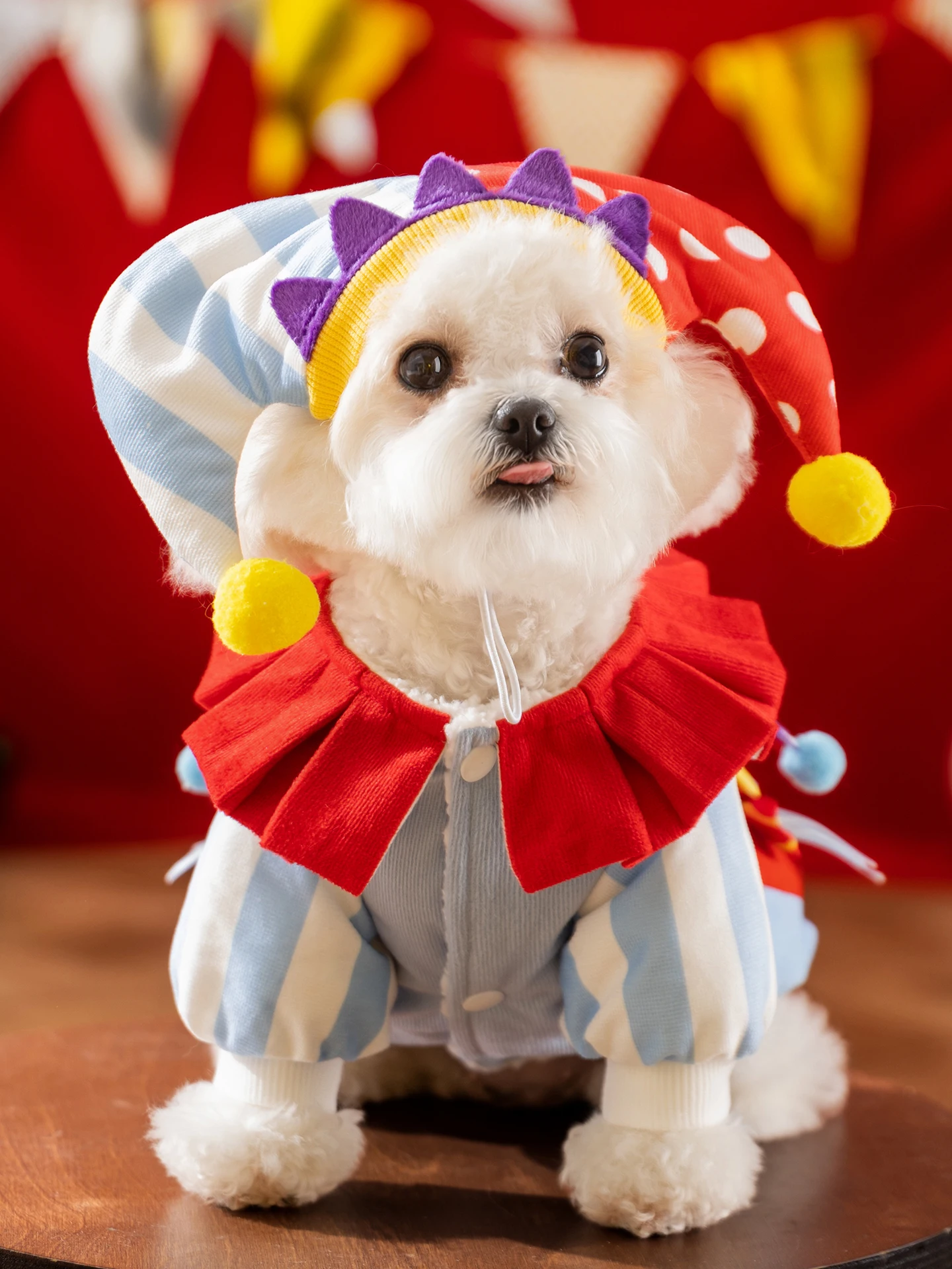犬を飼う初心者が冬の寒さに悩むとき、どんな犬服が最適なのか？