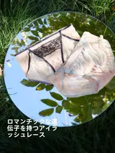 低腰透け感の三角パンツ【極上の柔らかさ・無痕・通気性】（セットアップ対応）