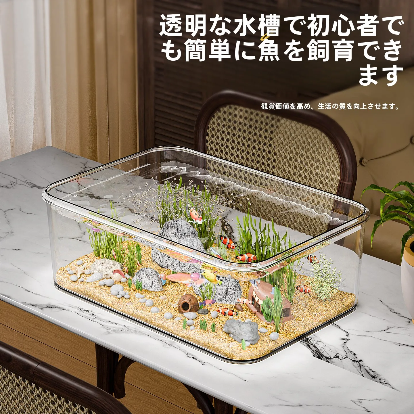 ベタ用水槽を選ぶときに迷うのは、本当に「水質」なのか？