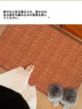 モダンシンプル防滑玄関マット【高級デザイン・日焼け跡付き・家用】
