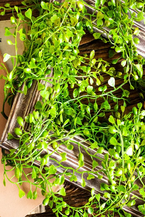 壁掛け装飾用フェイクつる植物【葉付きバスケット・インテリア装飾用】